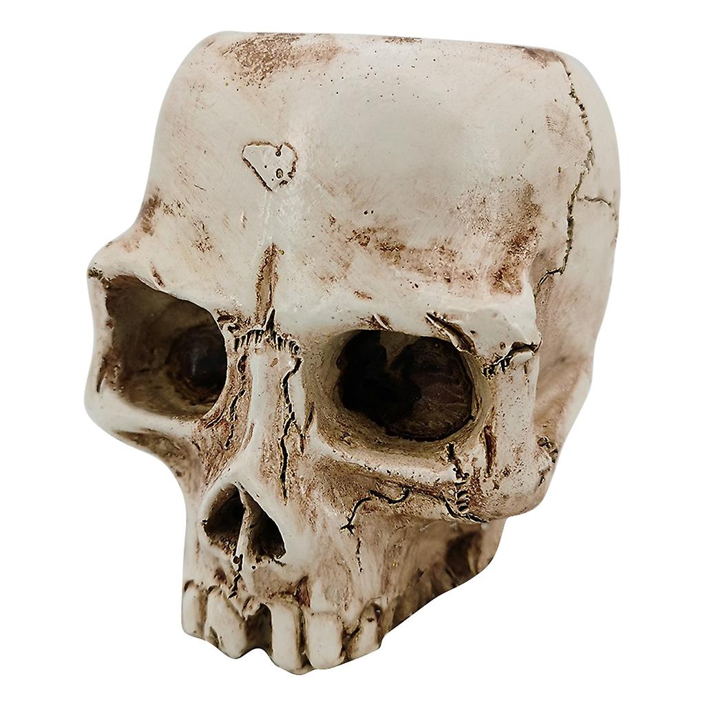Resin Skull Shaped for Head Design Flower Pot Planter Container Storage for Tank