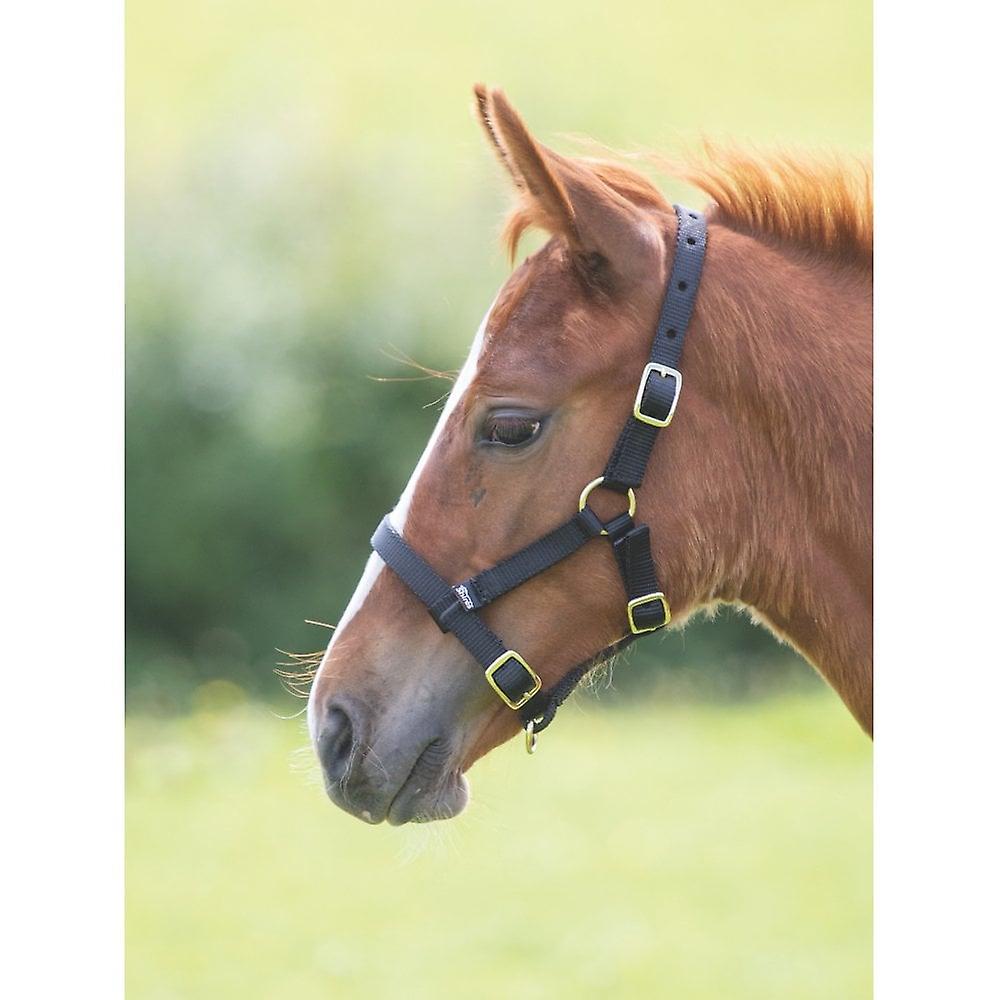 Shires Foal Nylon Headcollar