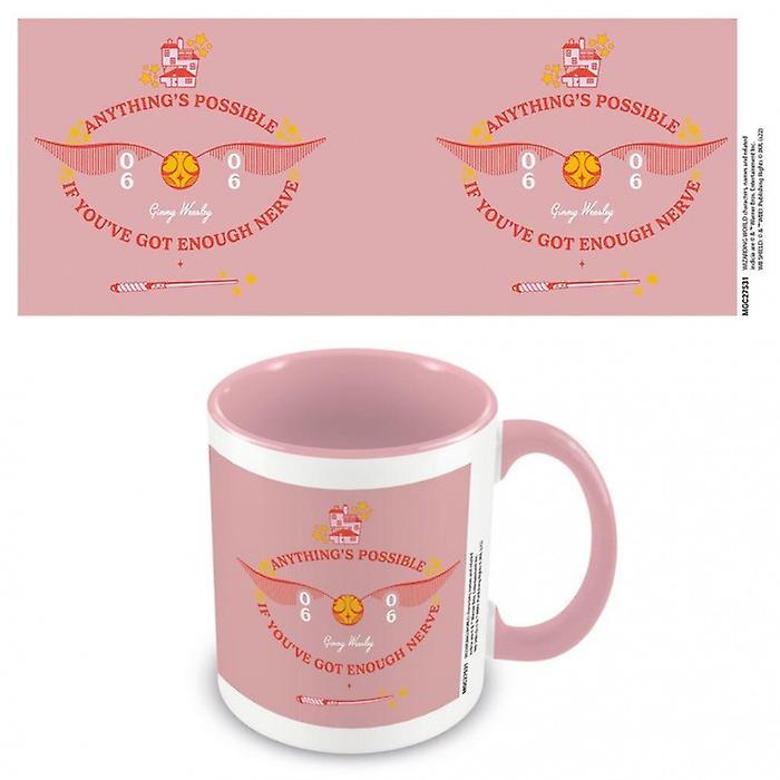 Harry Potter Tout est possible Mug