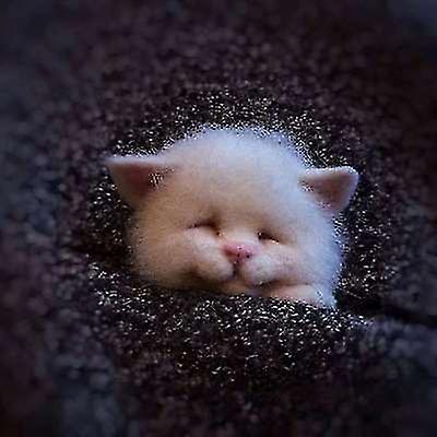 Cat B Diy Material Kit For Self H made Cute Animal