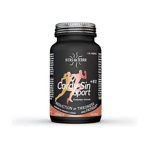 cordy without sport 60 capsules of 800mg