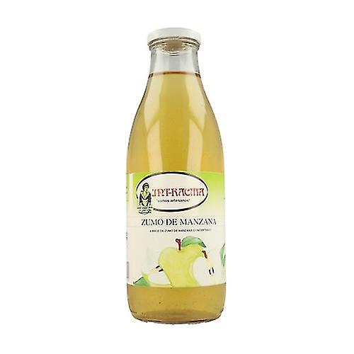 Green Apple Juice 1000 ml (Apple)