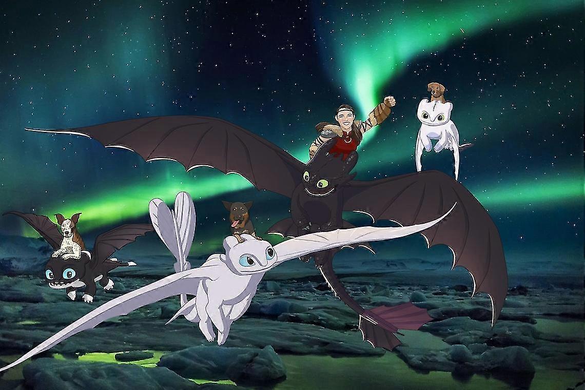 كيفية تدريب التنين الخاص بك ، بلا أسنان ، غضب خفيف ، التنين ، جولة كاملة الحفر 5D دي الماس اللوحة التطريز عبر غرزة