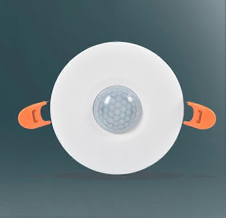 White Infrared Motion Detector