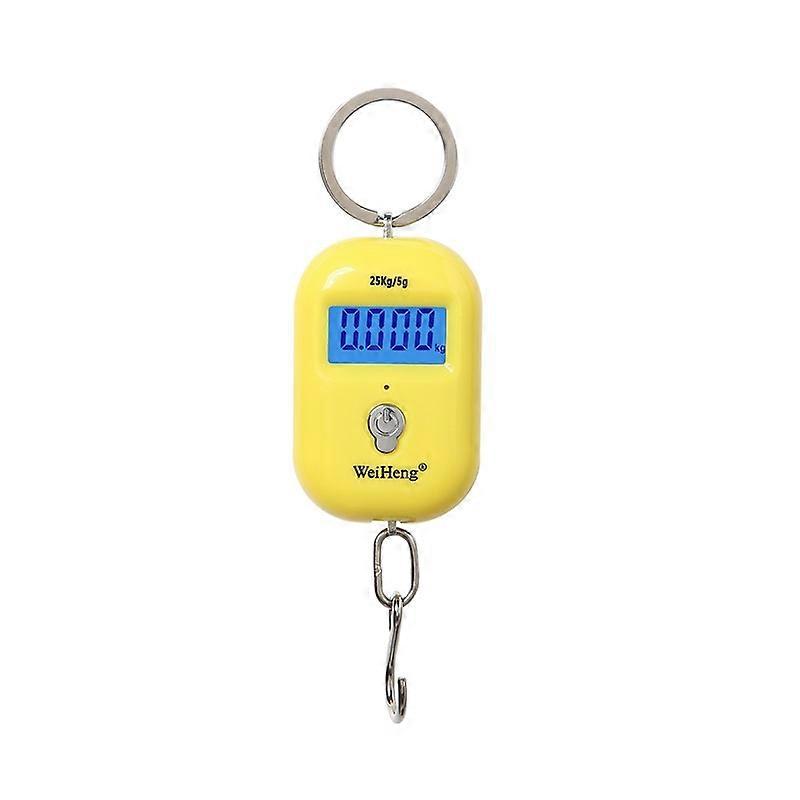 Mini Digital Scale 25Kg 5g Electronic Fishing Weight Pocket Luggage Scales Hanging Hook Mini Keychain LCD Weighing Balance