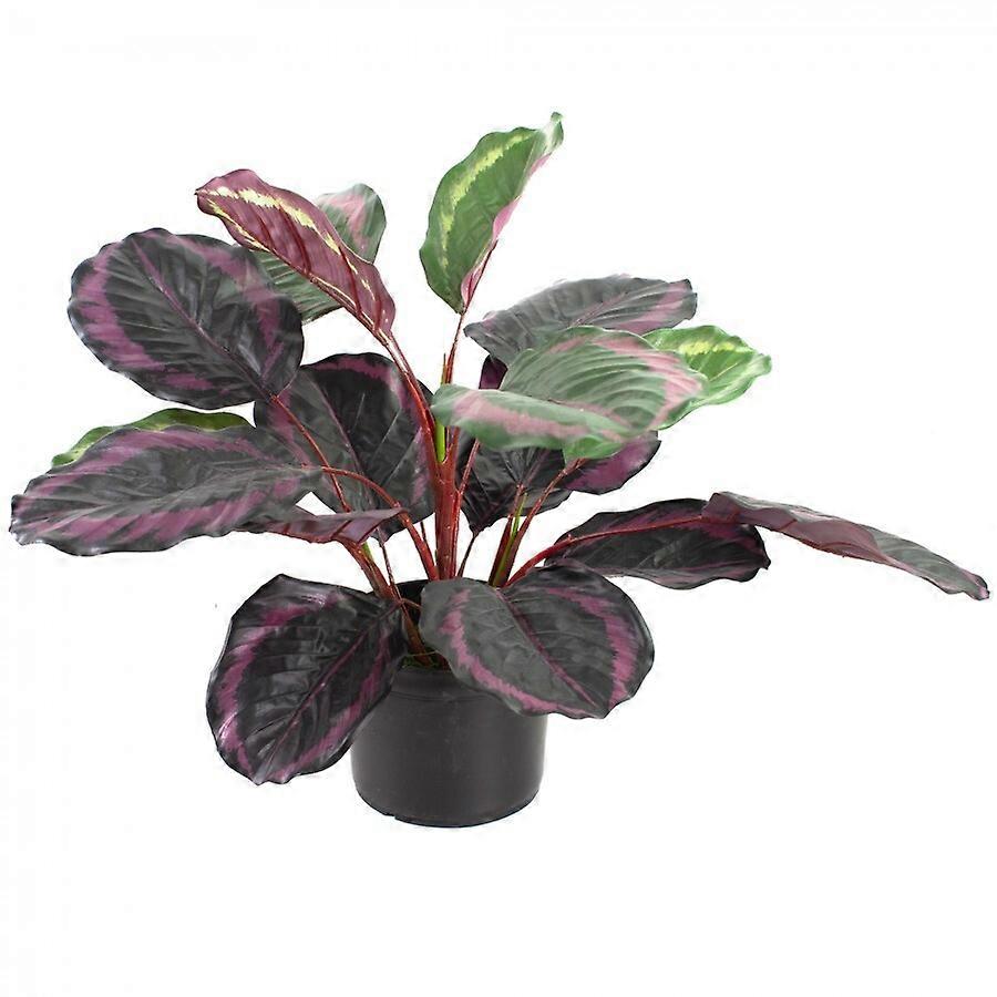 52cm Burgundy Calathea Plant in Pot Artificial Plant Flower Faux Decor