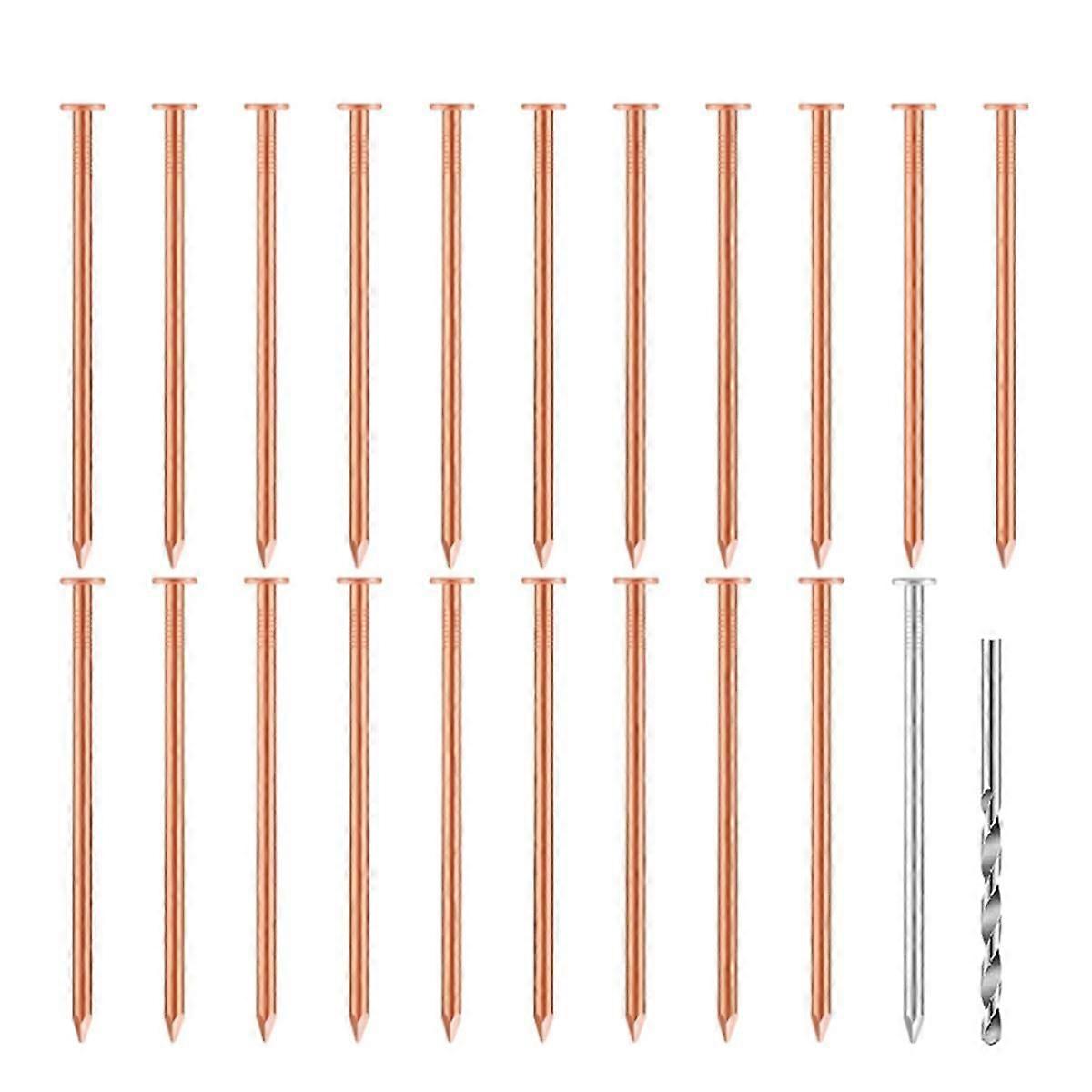 20 Pcs Pregos de Cobre para Matar Árvores, Tocos & - 3,5 Polegadas de Comprimento Vêm com 1 Pregos de Aço e 1 Broca