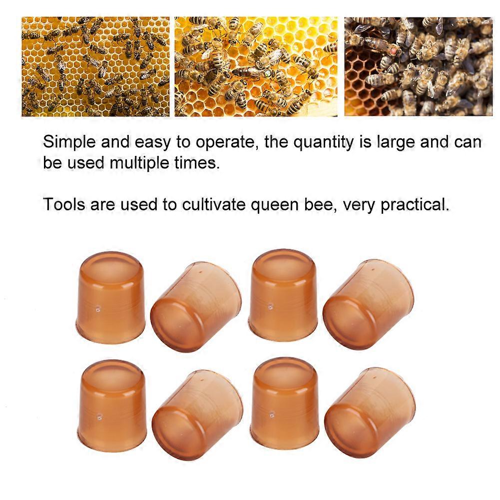1000Pcs Brown Plastic Bee Queen Cell Cups for Breeding Rearing