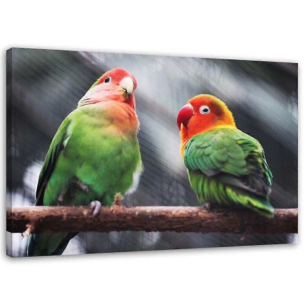 Impression sur toile, Perroquets colorés - 90x60