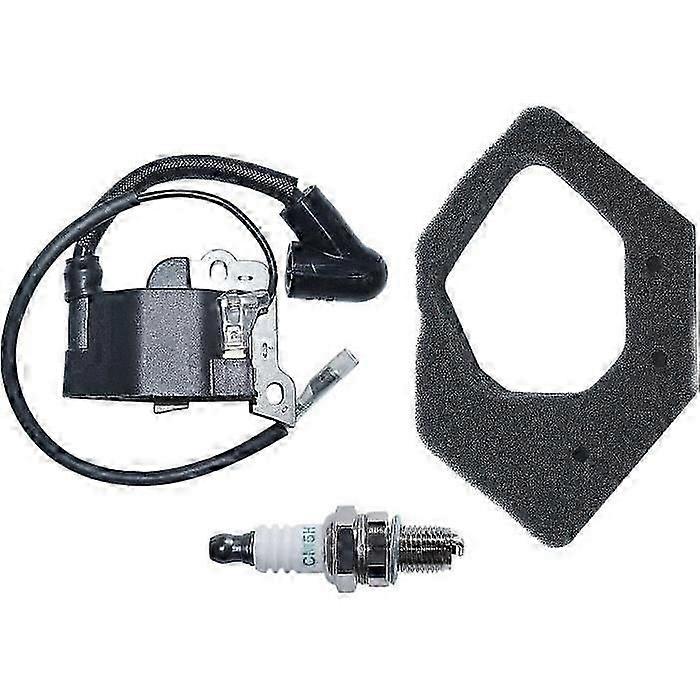 Compatible With GX25 HHT25S WX10K engine part, ignition coil kit, 30500-ZOH-013, 30500-Z0H-023, 17211-ZOH-000 -cdsx