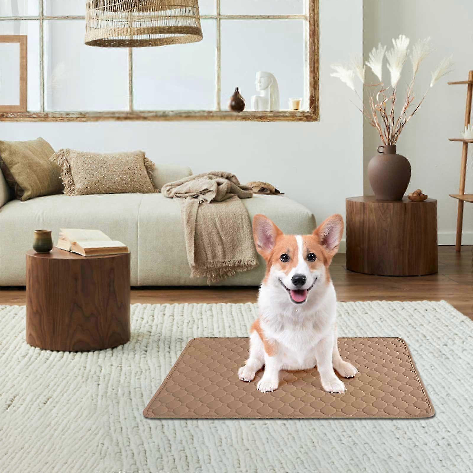 Urine Pad Thickened Pet For Deodorization And Instant Water Absorption Washable And Easy To Dry Reusable Dog Urine Pad And Urine Pad