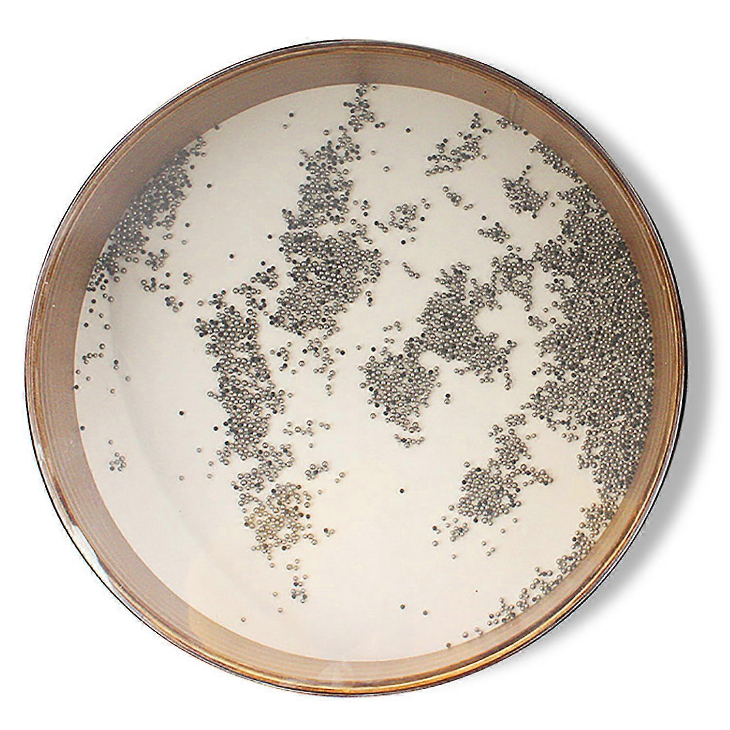 Ocean Drum, Produces Soothing Wave Sounds, Ideal for Meditation, 18 Inch