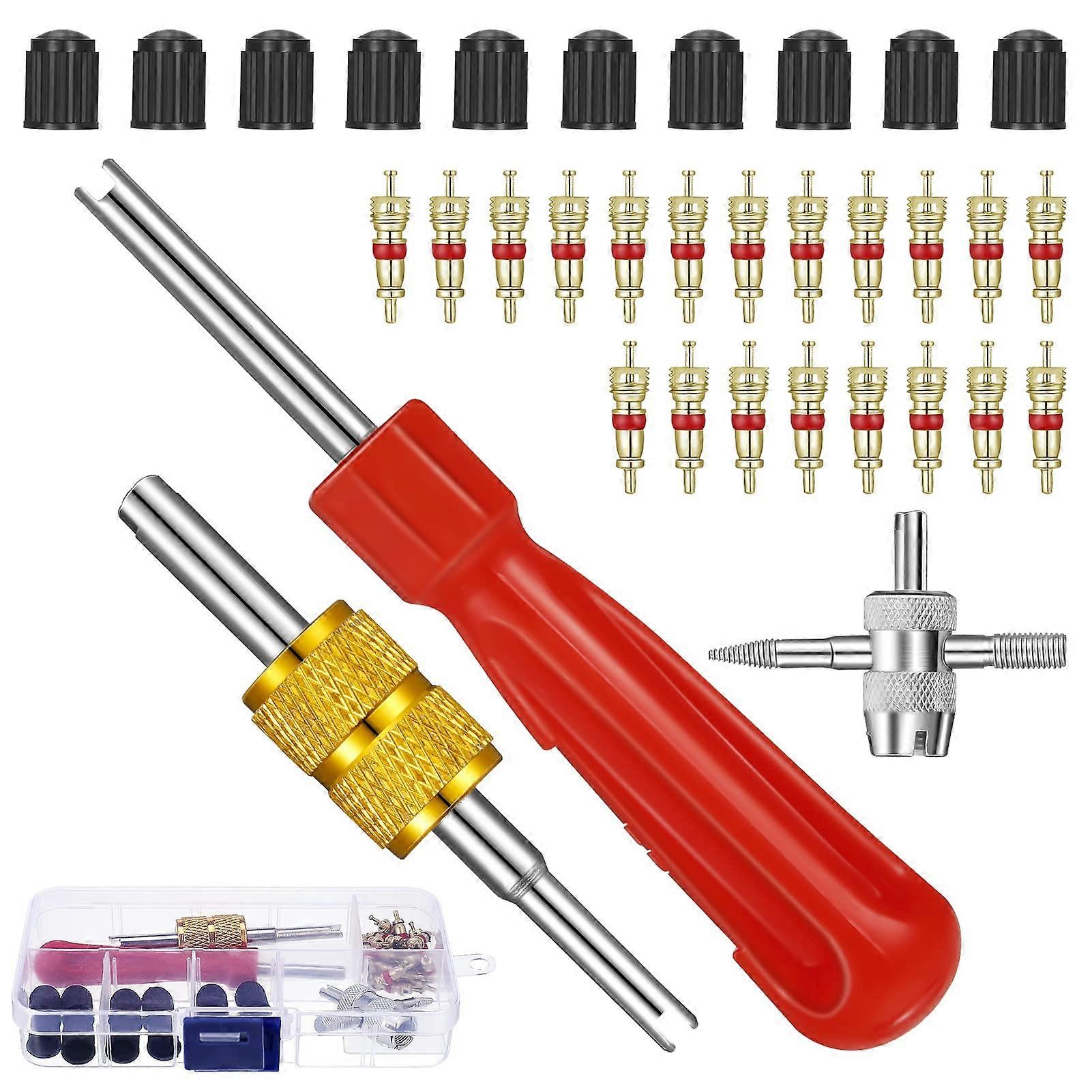 Tyre Valve Remover Valve with Double and Single Head Valve Core Valve Key Car Valve Tool Box for Car Motorcycle Bicycle