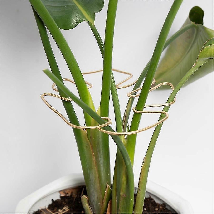 Monstera Plant Root Support 5PCS Stabilizer Grapple Holder