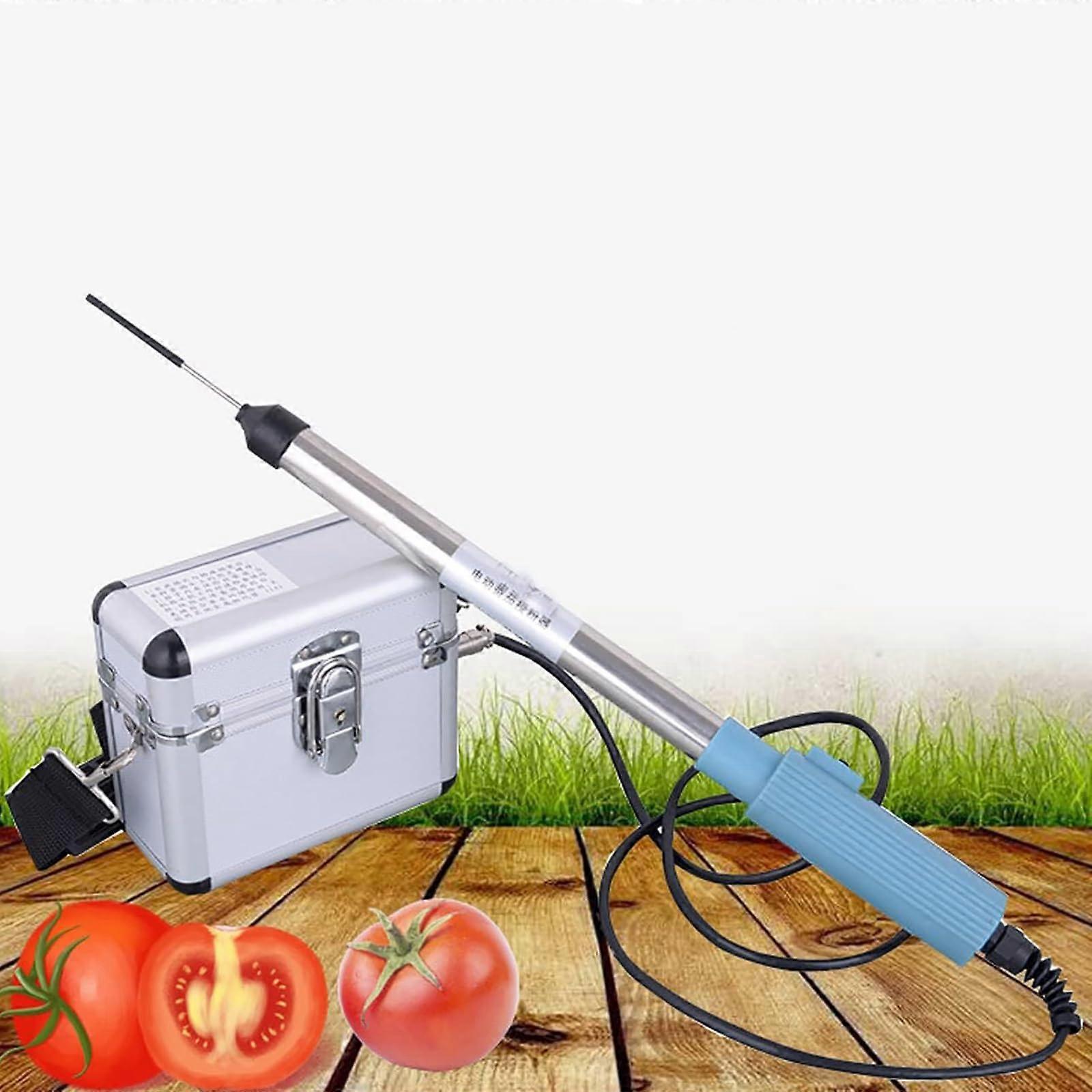 Tomato Pollinator Sprayer For Greenhouse Cucumber And Vegetable Pollination Be The Bee Model Compatible With Tomatoes