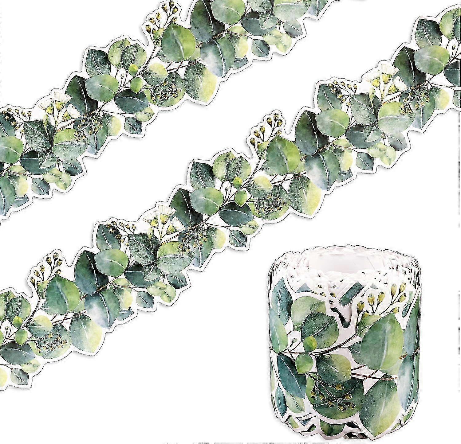 Eucalyptus Border Bulletin Board with 49ft Green Leaves Die Cut Border - Ideal for Display and Announcements