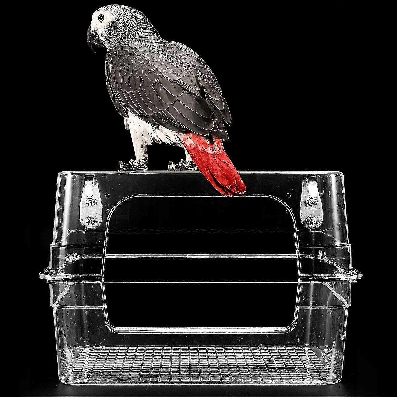 Colorday Large Bird Drinker Pools For Flap, Parrot Shower