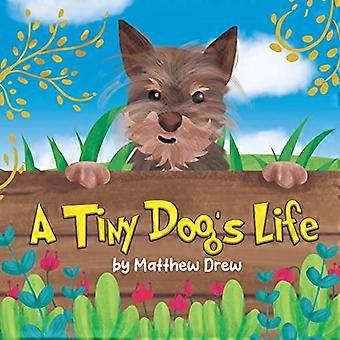 La vie d'un petit chien