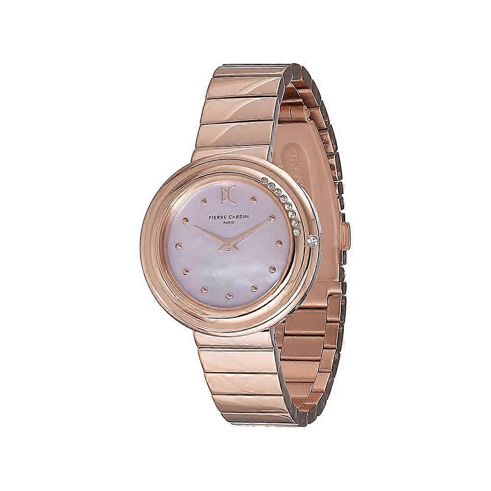 Watches Pierre Cardin cf1010mr1