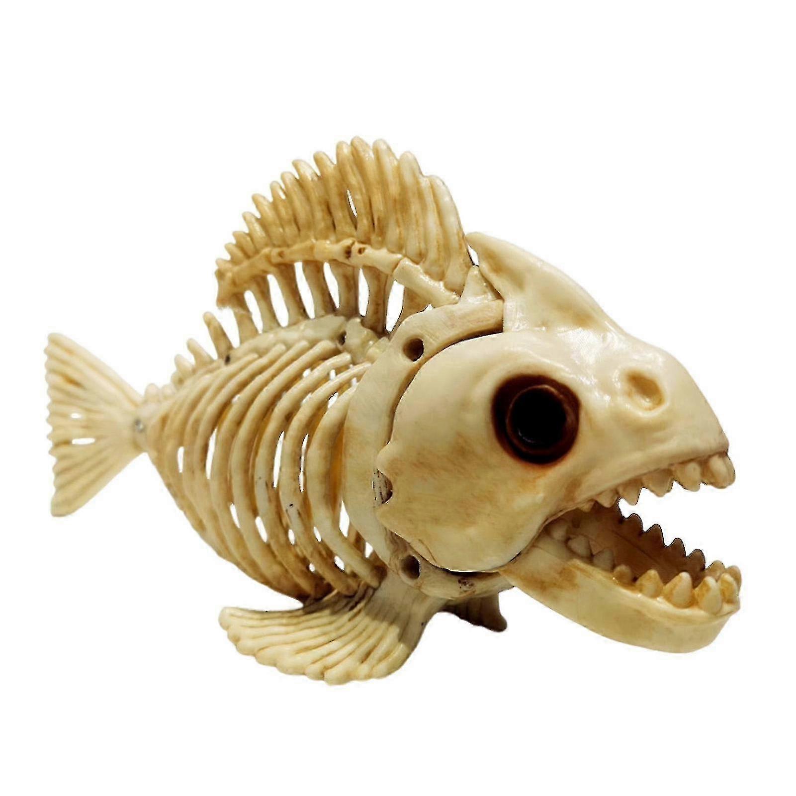 Anatomical Skeleton Fish Model
