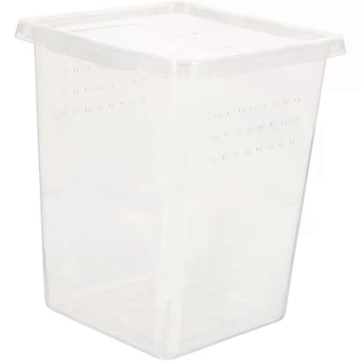 Feeding Box Plastic Breeding Container for Geckos