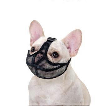 Breathable Muzzle for English Bulldogs, French Bulldogs, Pekingese, Shih-tzu, and Pugs