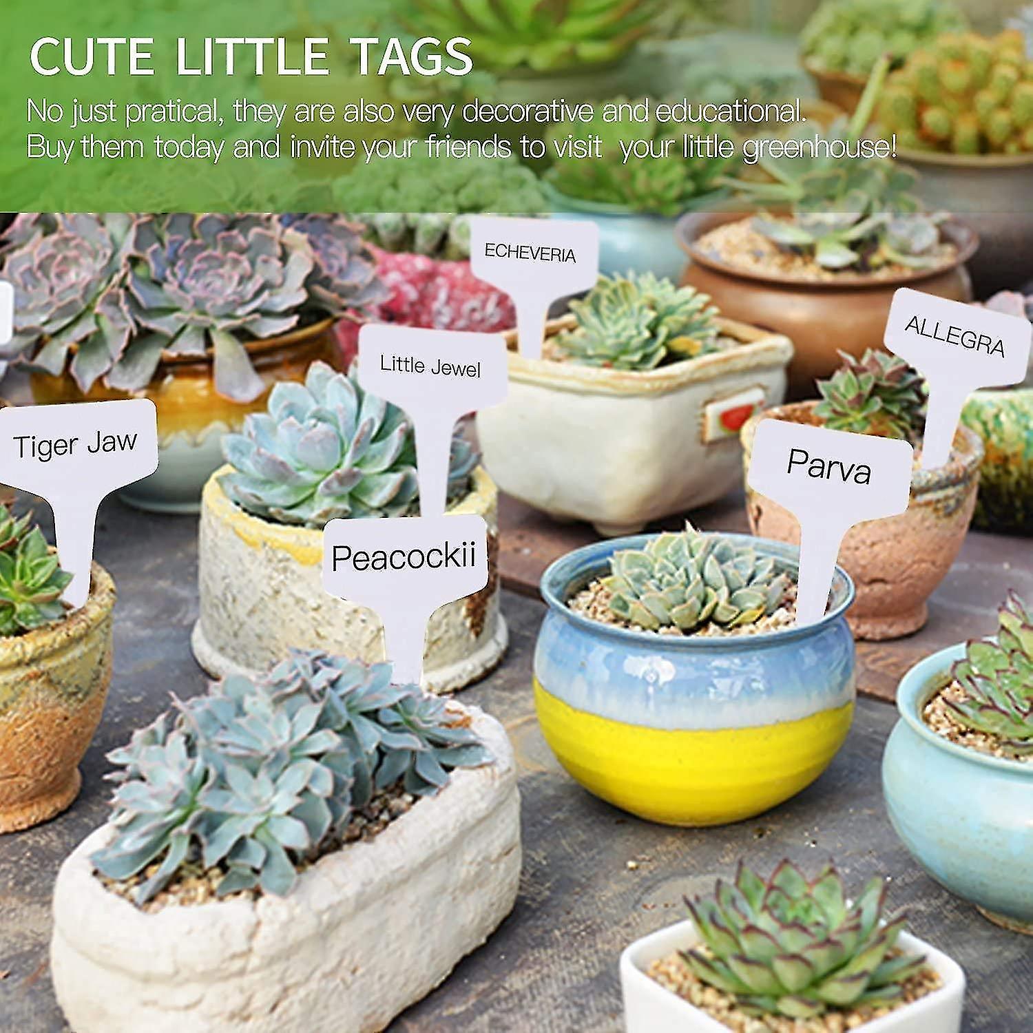 Plant Labels Seedling Label 120x Type T Vegetable Garden Label 6 X 