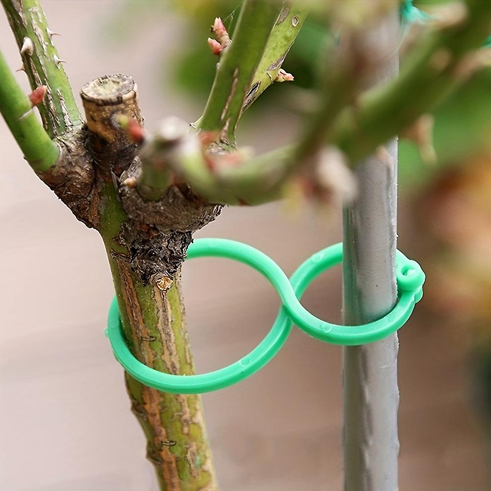 Transform Your Garden With 50pcs Rattan Plant Stand Trellis Clips And Twist Ties - Perfect For Upright Plant Growth And Easy Gardening