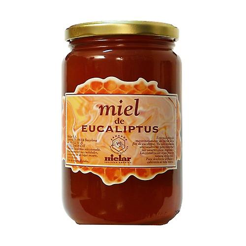 Eucalyptus honey 4 kg