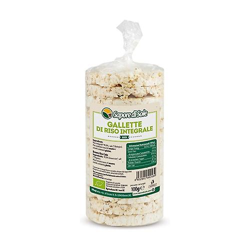 Brown Rice Cakes with Salt 100 g