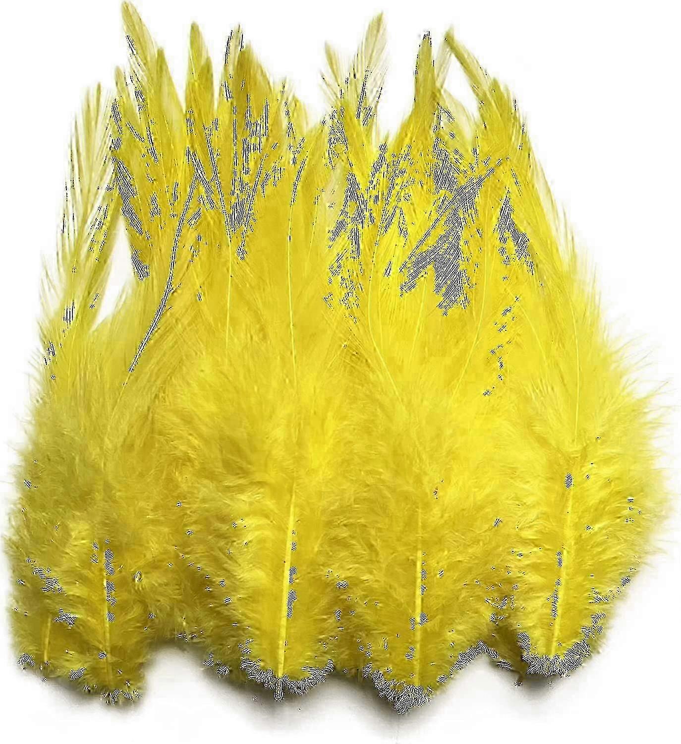 100pcs Feather For Crafts miao7