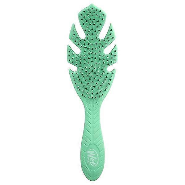 Wet Brush, Go GreenÃÂÃÂ¢ÃÂÃÂÃÂÃÂ¢ Detangler, Green, 1 Brush