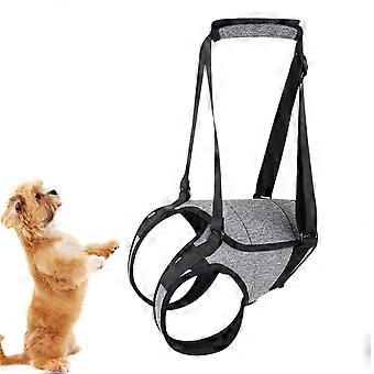 Dog Lifting Harness with Heavy Duty Handle, Orthopedic Support, Adjustable Fit for Senior Dogs