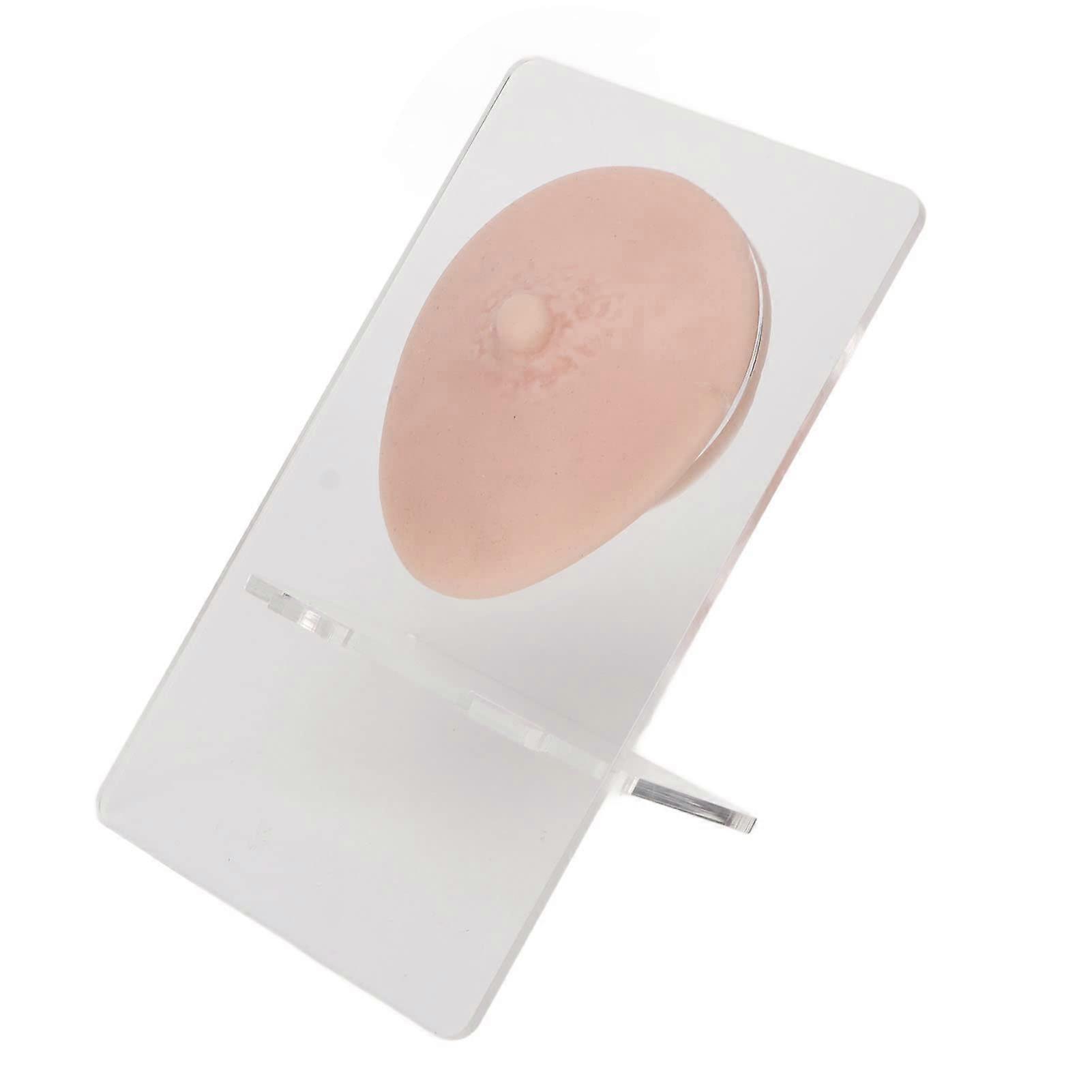 Silicone Nipple Piercing Practice Model with Stand, Realistic Texture for Jewelry Display