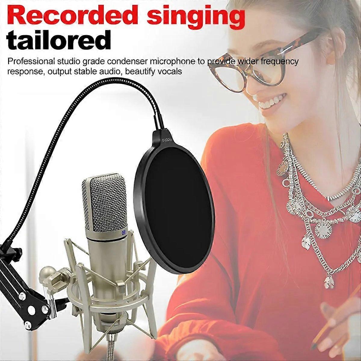 Metal Professional Condenser Microphone Studio Microphone