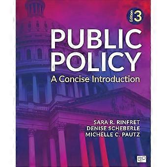 Public Policy A Concise Introduction