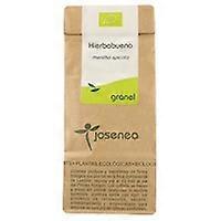 peppermint bag 25 g