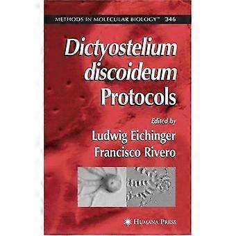 Dictyostelium discoideum protocols