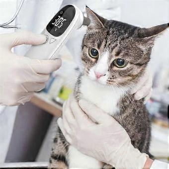Pet Infrared Ear Thermometer for Dogs and Cats Health Monitoring_y3