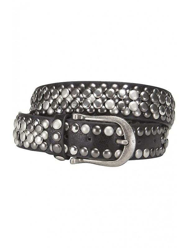 Sharp From Vivanilla