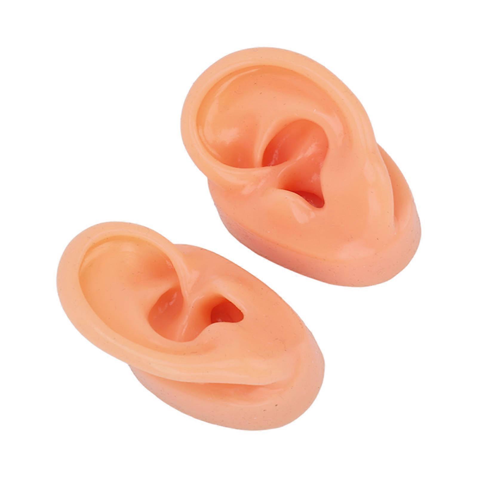 Silicone Ear Model Human Artificial Ear Display for Hearing Aids IEM Earphones Display Lecturing