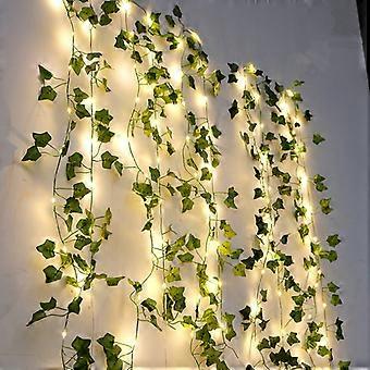 efeutute shangri la Pothos 'Shangri La'