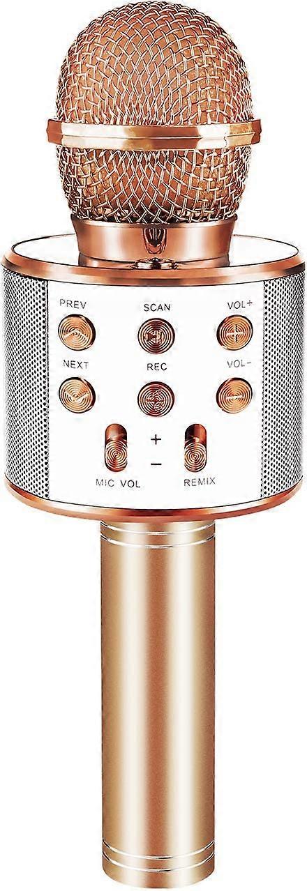 Musikaliska leksaker för 4-12 år gamla pojkar presenter, barn bluetooth karaoke sång mikrofon