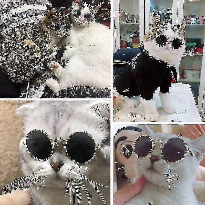 Pet Glasses Sunglasses Cat Sunglasses