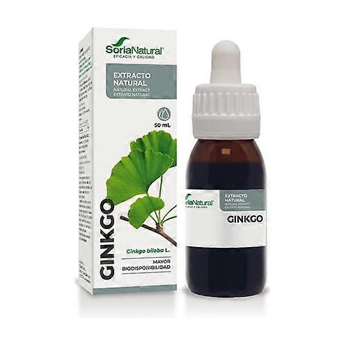 Ginkgo Biloba Extract XXI Formula 50 ml