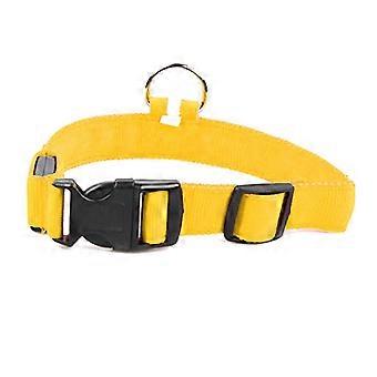 Led Dog Collar Usb Akumulator Emitujący światło Obroża dla psa Regulowana