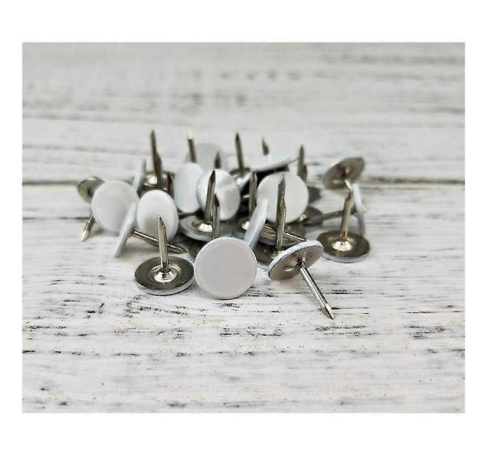 Drawing Pins 100 Pack, Decorative Round Head Wallpaper Nails, Long Press Wall Nails for Home and Office Use