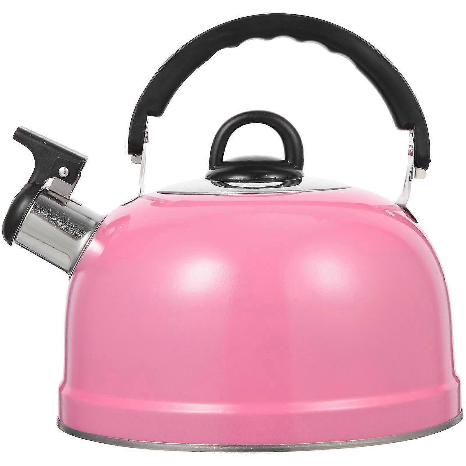 Metal Waterbottle Whistling Stovetop Kettle - Boiling Tea Kettle and Water Boiling Pot