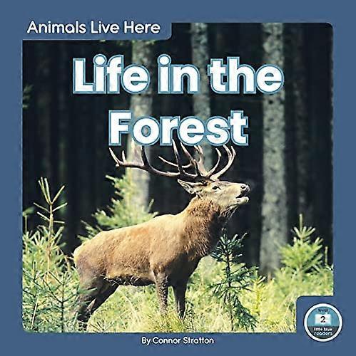 Life in the Forest