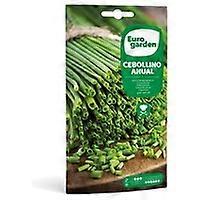 Annual Chive Seeds 2 g